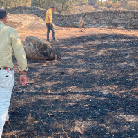El alcalde de Cáceres ofrece la ayuda del Ayto. a los vecinos afectados por los incendios