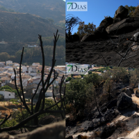Así se encuentra Cabezabellosa, uno de los pueblos afectados por el incendio de Jarilla: "Volverás a florecer"