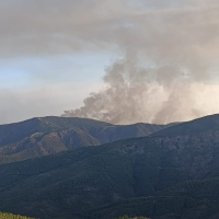 Dan por estabilizado al 100 % el incendio forestal de Caminomorisco