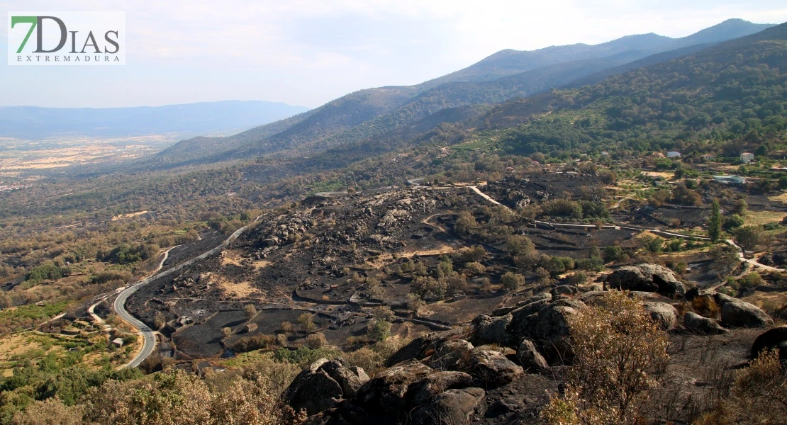 Así se encuentra uno de los pueblos afectados por el incendio de Jarilla: "Volverás a florecer"