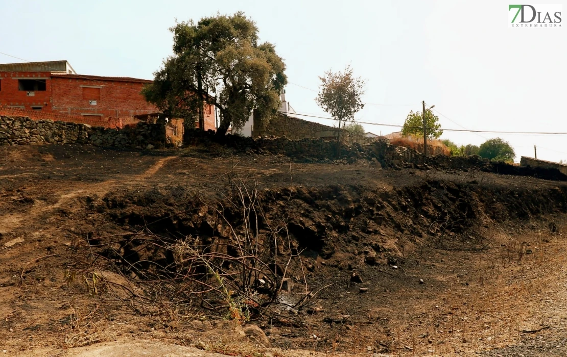 REPOR - Operativo y estado actual de la zona arrasada por el incendio desde Jerte