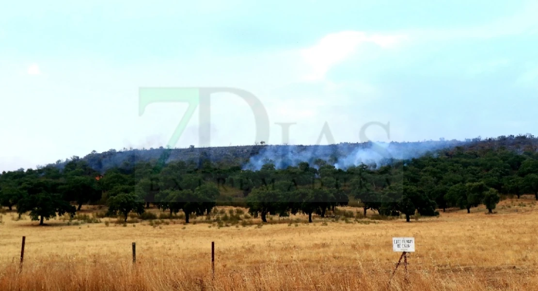 "Es un infierno desolador ver la Sierra de San Pedro, nuestra vida, así"