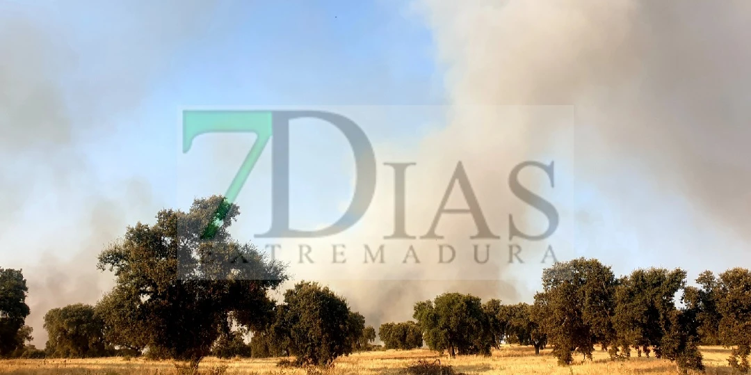 Un incendio a las afueras de Badajoz amenaza viviendas: activan el nivel 1 del Plan Infoex