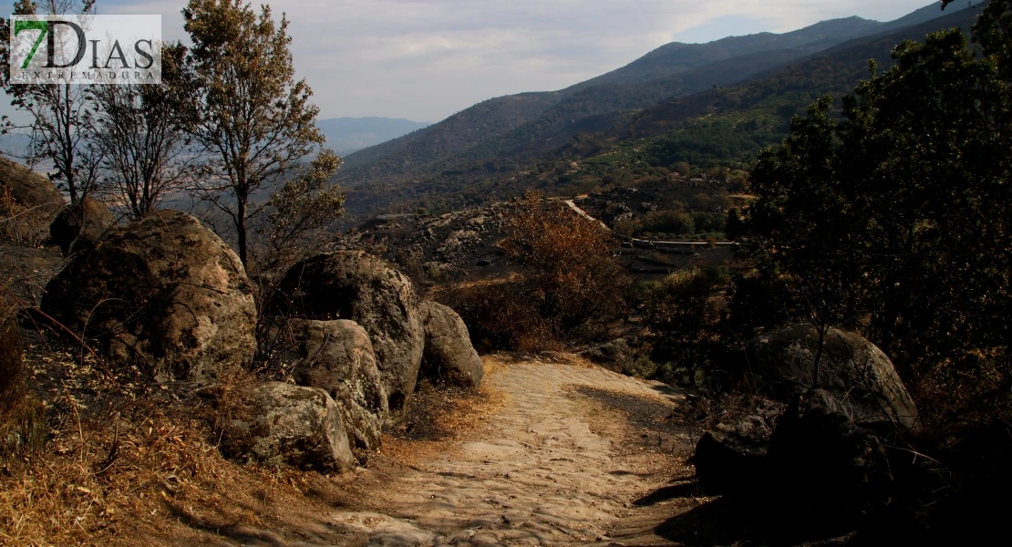 Así se encuentra uno de los pueblos afectados por el incendio de Jarilla: "Volverás a florecer"