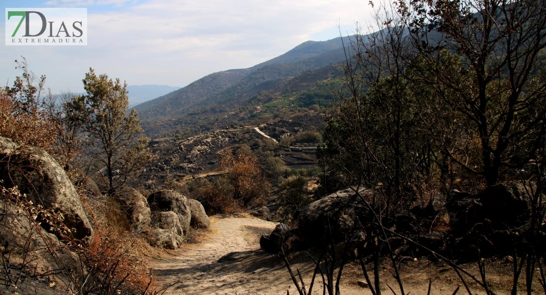 Así se encuentra uno de los pueblos afectados por el incendio de Jarilla: "Volverás a florecer"