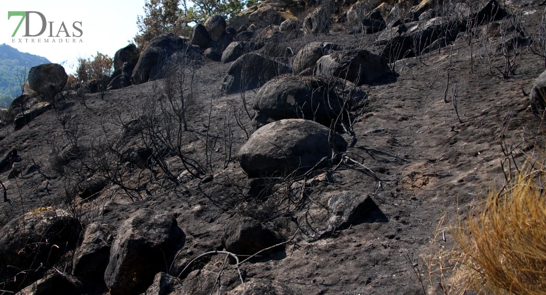 Así se encuentra uno de los pueblos afectados por el incendio de Jarilla: "Volverás a florecer"