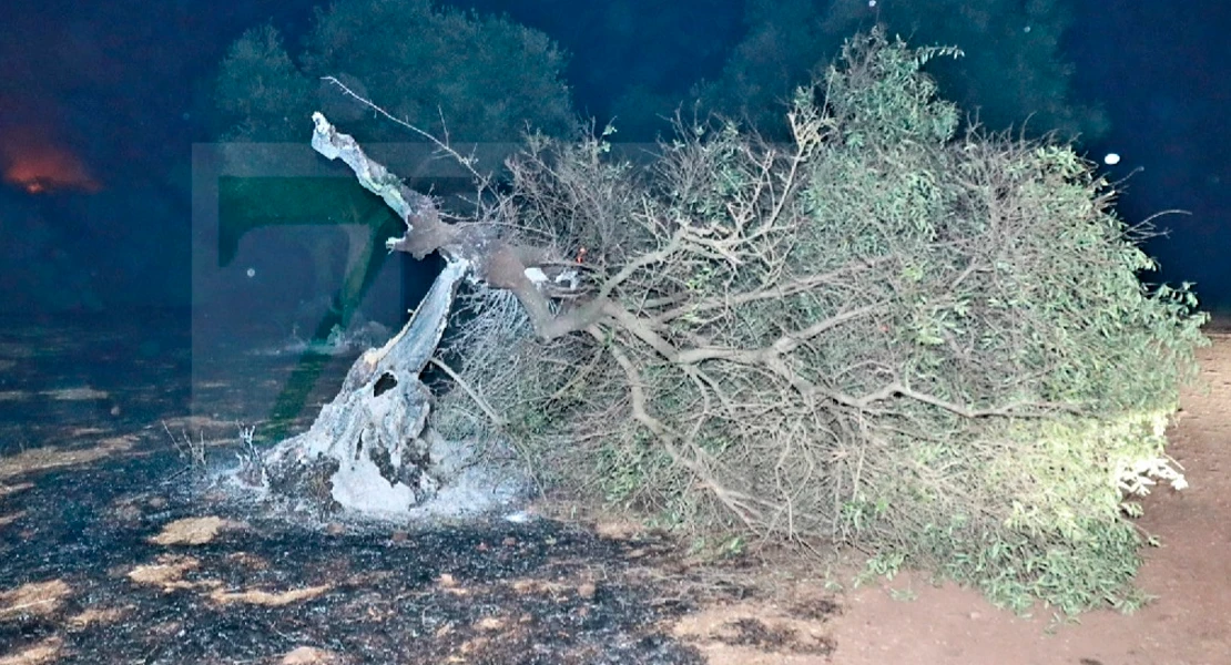 Noche larga para los trabajadores de la Sierra de San Pedro: "Ha sido un infierno"