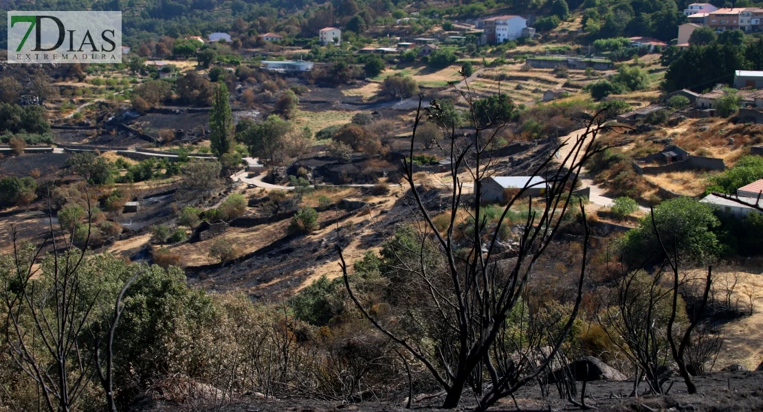 Así se encuentra uno de los pueblos afectados por el incendio de Jarilla: "Volverás a florecer"
