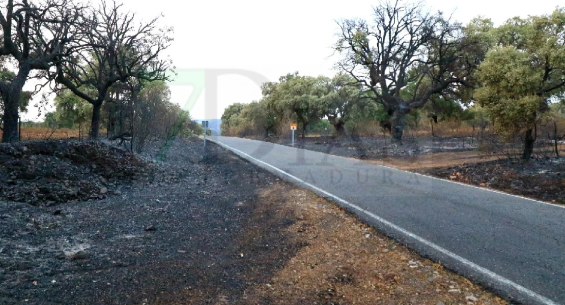 "Es un infierno desolador ver la Sierra de San Pedro, nuestra vida, así"