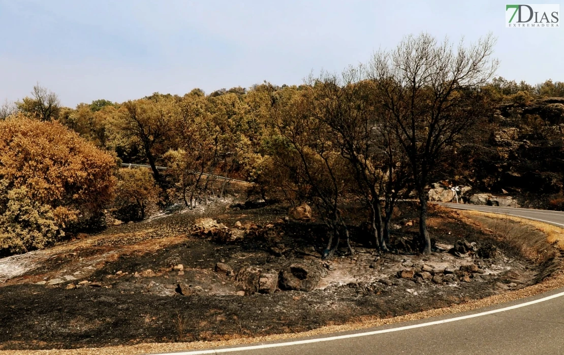 REPOR - Operativo y estado actual de la zona arrasada por el incendio desde Jerte