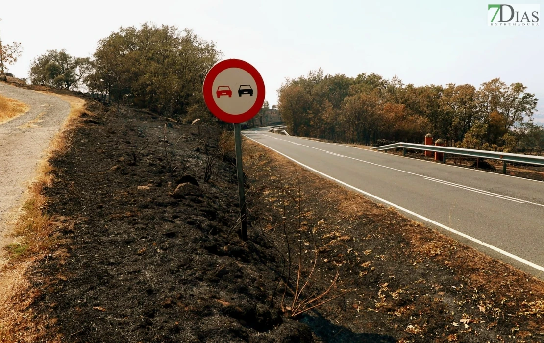 REPOR - Operativo y estado actual de la zona arrasada por el incendio desde Jerte