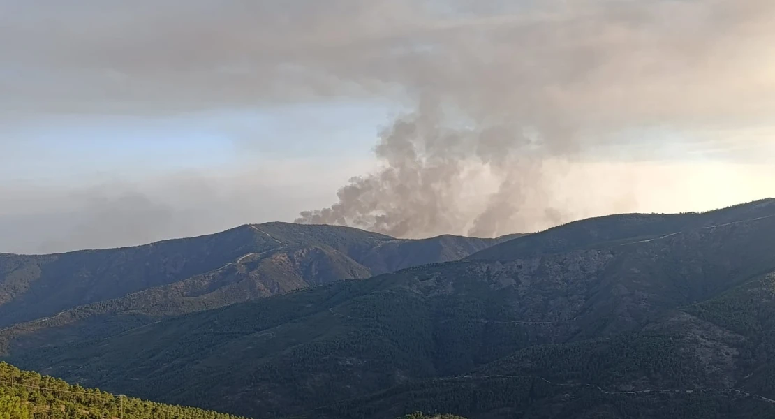 Dan por estabilizado al 100 % el incendio forestal de Caminomorisco