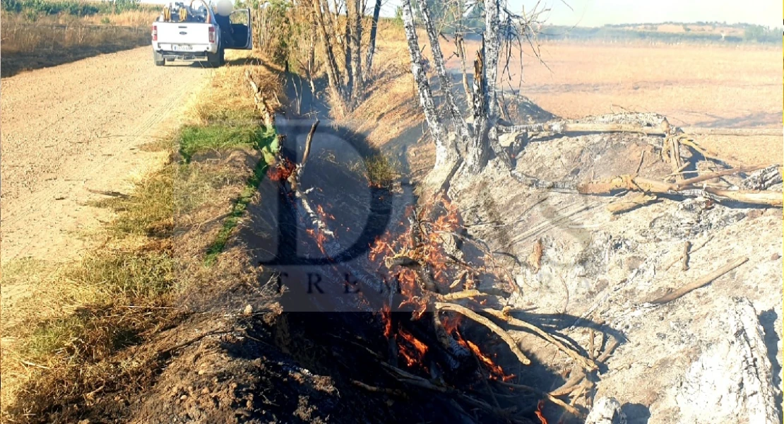 Un incendio forestal calcina varias ha de cultivo en la provincia de Badajoz