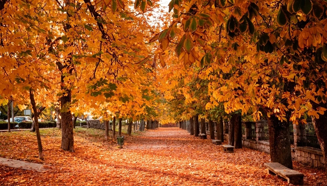 ¿Qué tiempo nos espera este otoño?