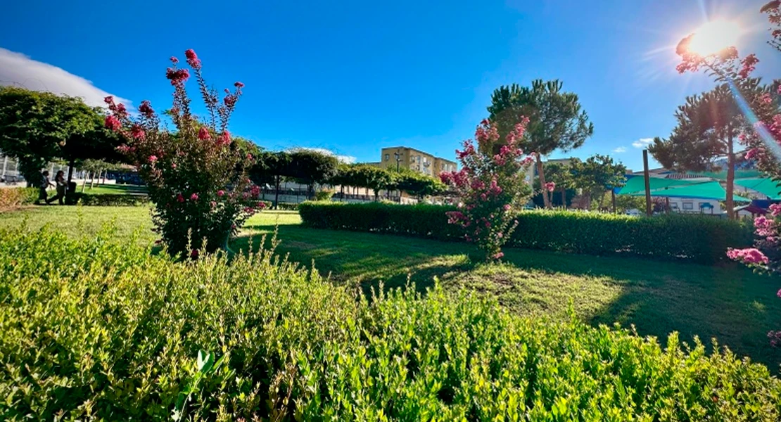 El Ayto. de Badajoz repondrá árboles y arbustos en parques y jardines de la ciudad