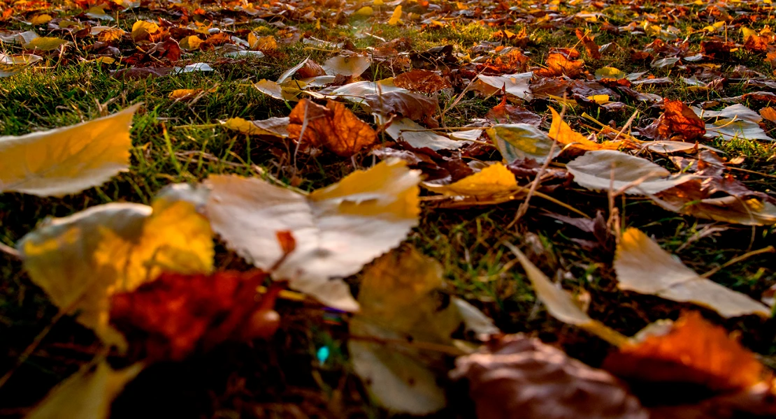 ¿Por qué comienza el otoño este lunes?