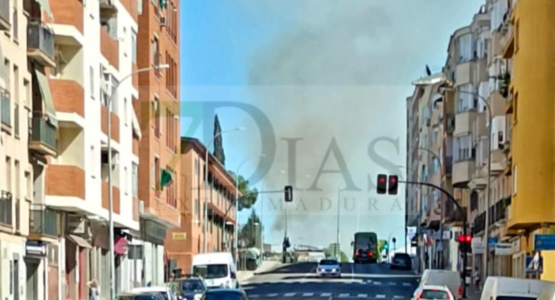 Un incendio forestal provoca cortes de tráfico en Badajoz