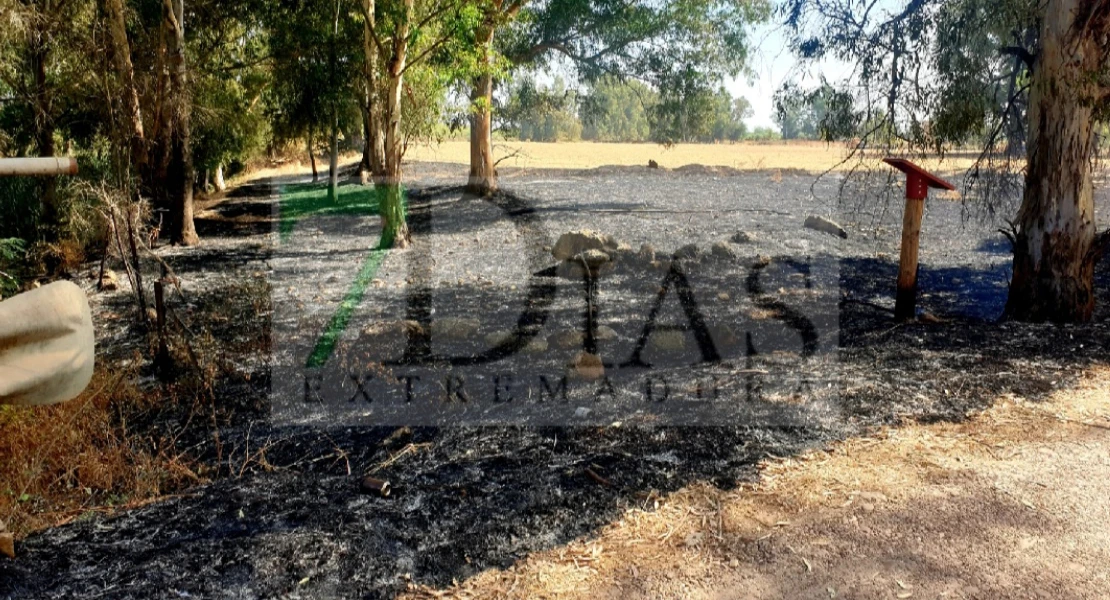 Incendio forestal entre Pueblonuevo y Talavera la Real