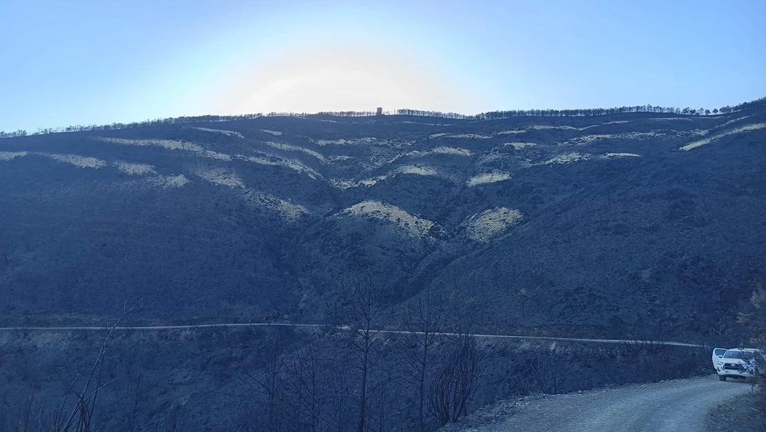 Medidas para evitar la contaminación del agua en municipios afectados por los incendios