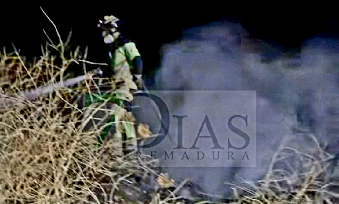 Bomberos de Badajoz actúan en un incendio entre Gévora y Valdebótoa