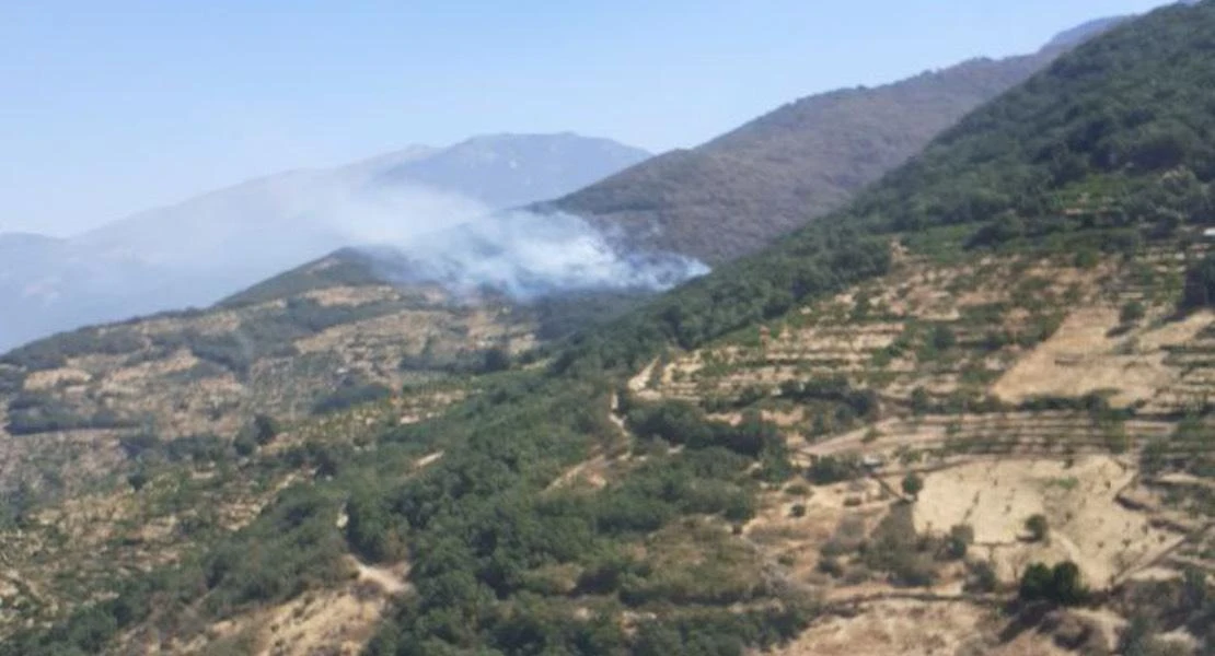 Reactivación en el incendio de Jarilla: el INFOEX despliega medios aéreos y terrestres