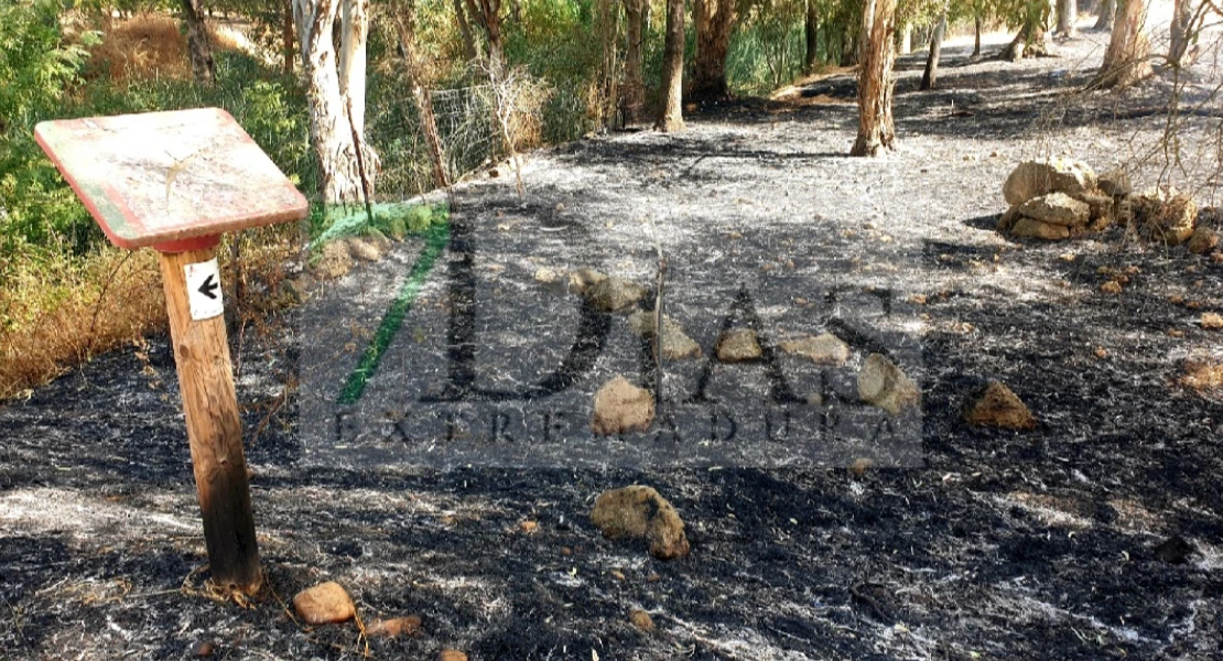 Incendio forestal entre Pueblonuevo y Talavera la Real