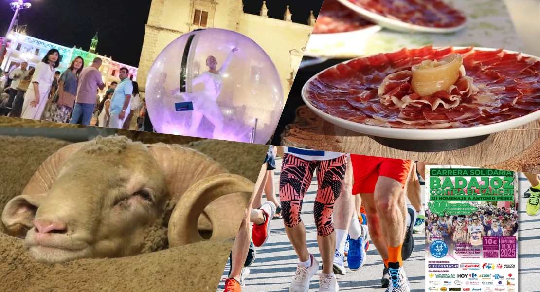 Noche en blanco, turismo del jamón y el mejor bocadillo de cordero: fin de semana cargado de planes