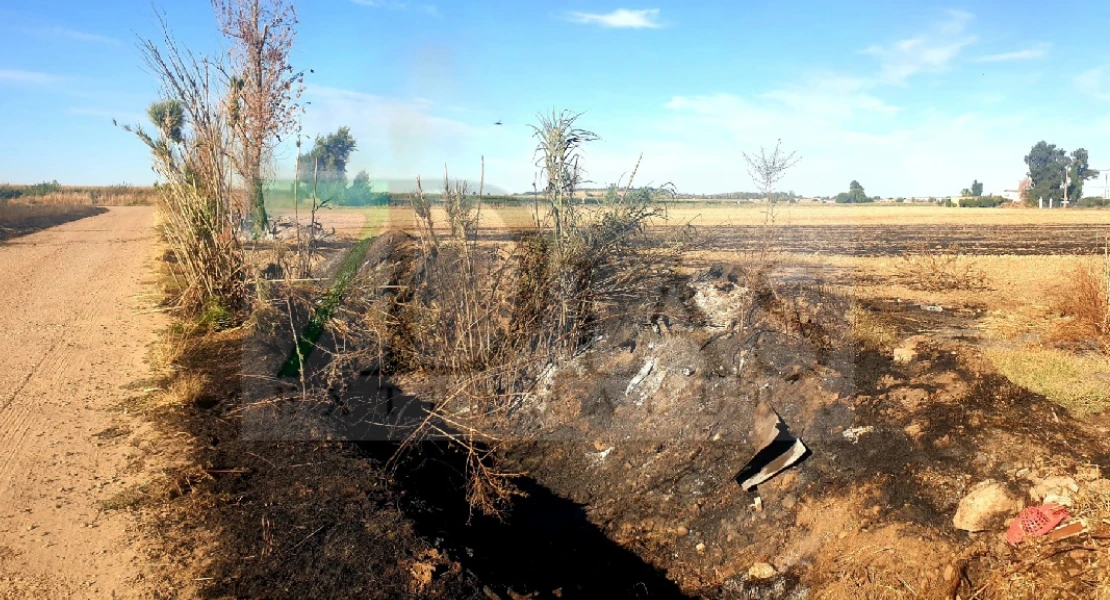 Un incendio forestal calcina varias ha de cultivo en la provincia de Badajoz