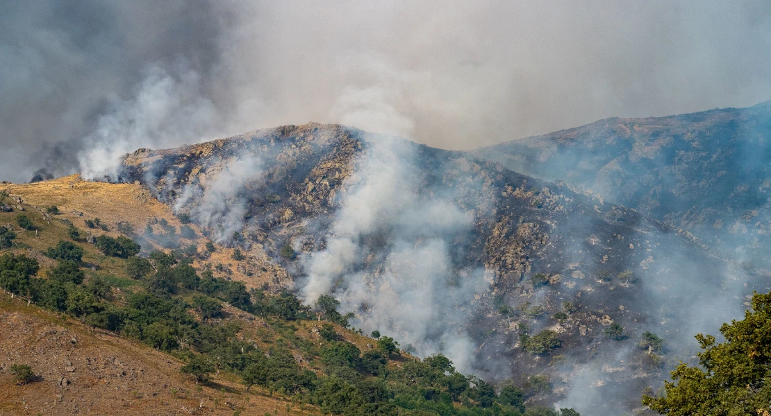 La Junta empezará a actuar sin esperar a que los incendios se den por extinguidos