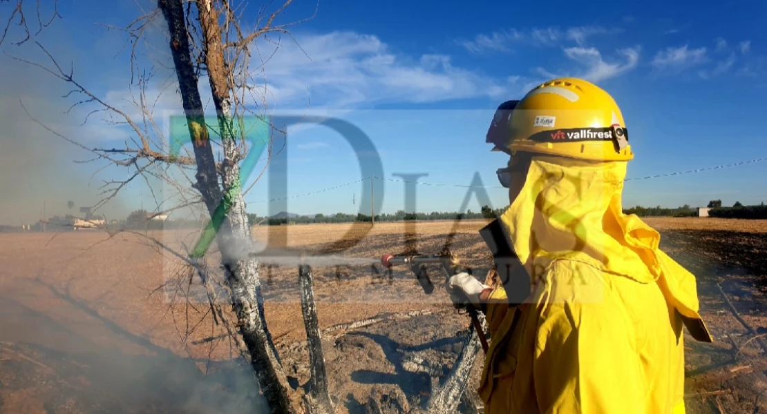 Un incendio forestal calcina varias ha de cultivo en la provincia de Badajoz