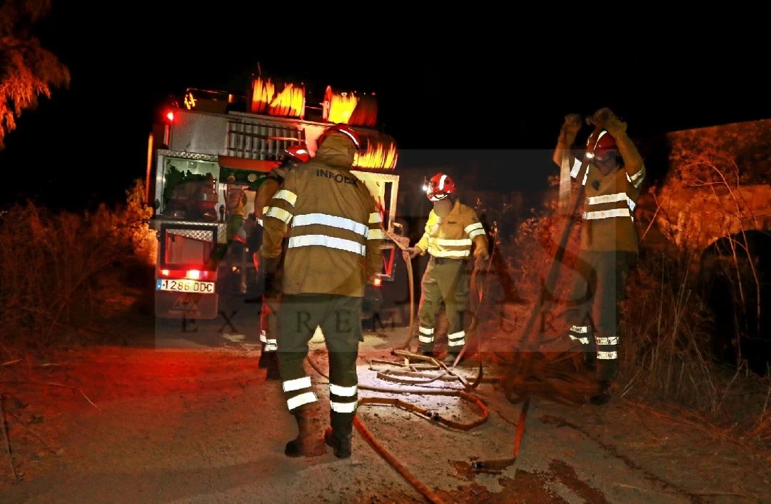 Los bomberos luchan contra las llamas en un incendio que se repite cada año en Novelda