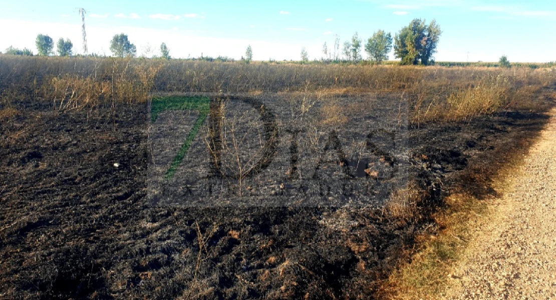 Un incendio forestal calcina varias ha de cultivo en la provincia de Badajoz