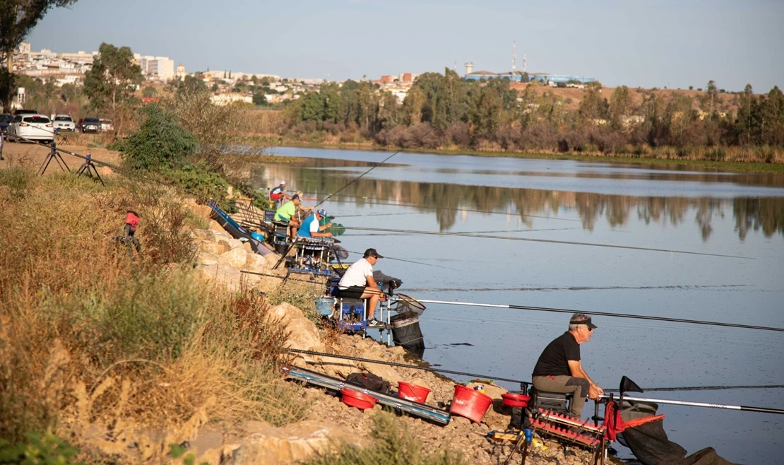 Badajoz acoge una nueva edición de FECIEX: fechas, precios y novedades