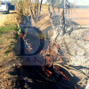 Un incendio forestal calcina varias ha de cultivo en la provincia de Badajoz