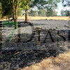 Incendio forestal entre Pueblonuevo y Talavera la Real