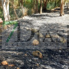 Incendio forestal entre Pueblonuevo y Talavera la Real