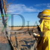 Un incendio forestal calcina varias ha de cultivo en la provincia de Badajoz