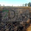Un incendio forestal calcina varias ha de cultivo en la provincia de Badajoz
