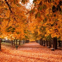 ¿Qué tiempo nos espera este otoño?