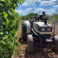 La Junta concederá préstamos de hasta 600.000 € a jóvenes agricultores en Extremadura