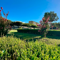 El Ayto. de Badajoz repondrá árboles y arbustos en parques y jardines de la ciudad