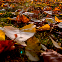 ¿Por qué comienza el otoño este lunes?
