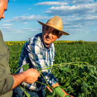 Agricultores y ganaderos podrán recibir hasta 20.000 € por explotación