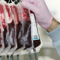 Llamamiento urgente a la donación de sangre en una localidad pacense