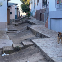 Así es la intervención integral que propone el PSOE en la barriada de Santa Engracia-UVA-800