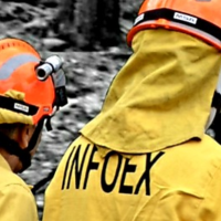 Declaran el nivel 1 de peligrosidad por un incendio forestal en Medellín (BA)