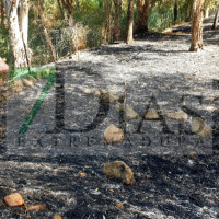 Incendio forestal entre Pueblonuevo y Talavera la Real