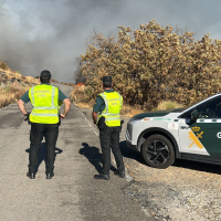 Un nuevo incendio forestal de nivel 1 obliga a cortar la EX-391