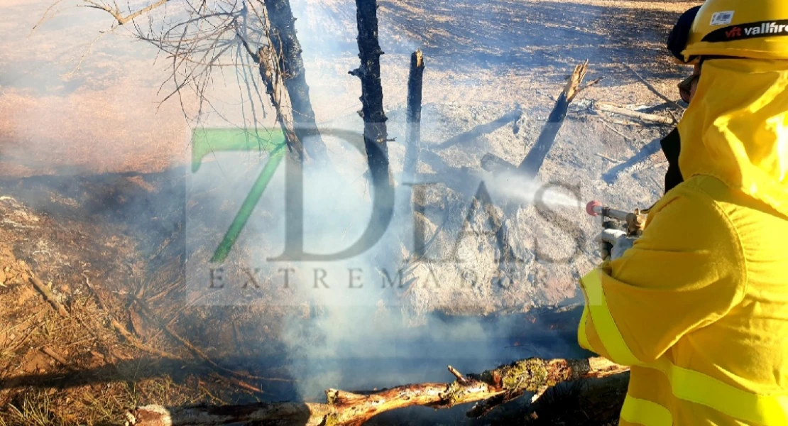 Un incendio forestal calcina varias ha de cultivo en la provincia de Badajoz