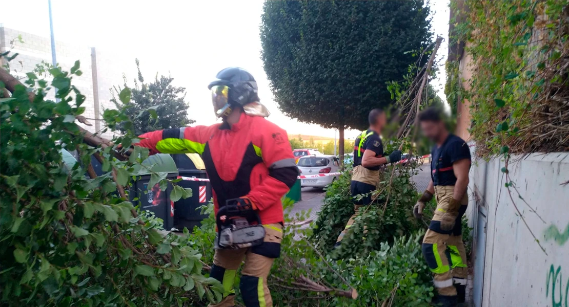 Una rama de gran tamaño cae junto al Instituto Ciudad Jardín de Badajoz